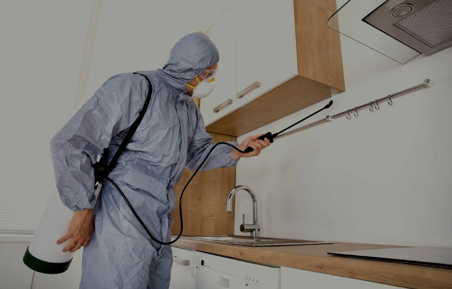 Ramona pest managment